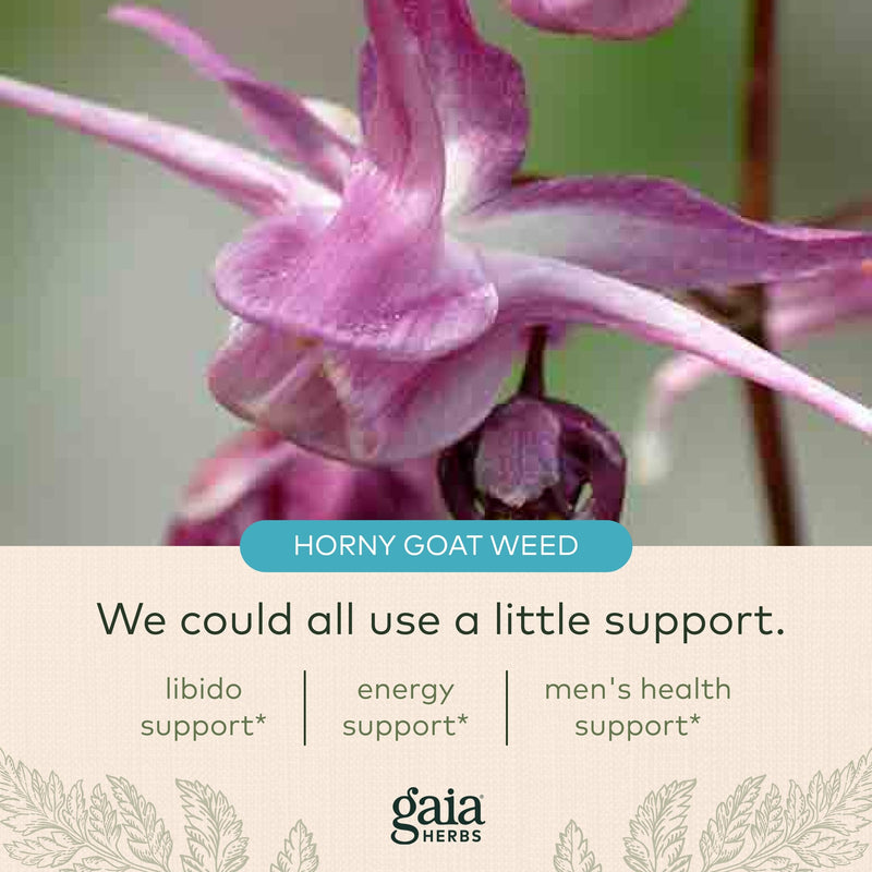 [Australia] - Gaia Herbs Male Libido - Herbal Supplement with Saw Palmetto, Horny Goat Weed, Maca & Oats - Supports Stamina, Vitality & Hormone Balance for Men - 60 Vegan Liquid Phyto-Capsules (20-Day Supply) 60 Count (Pack of 1) Standard Packaging 