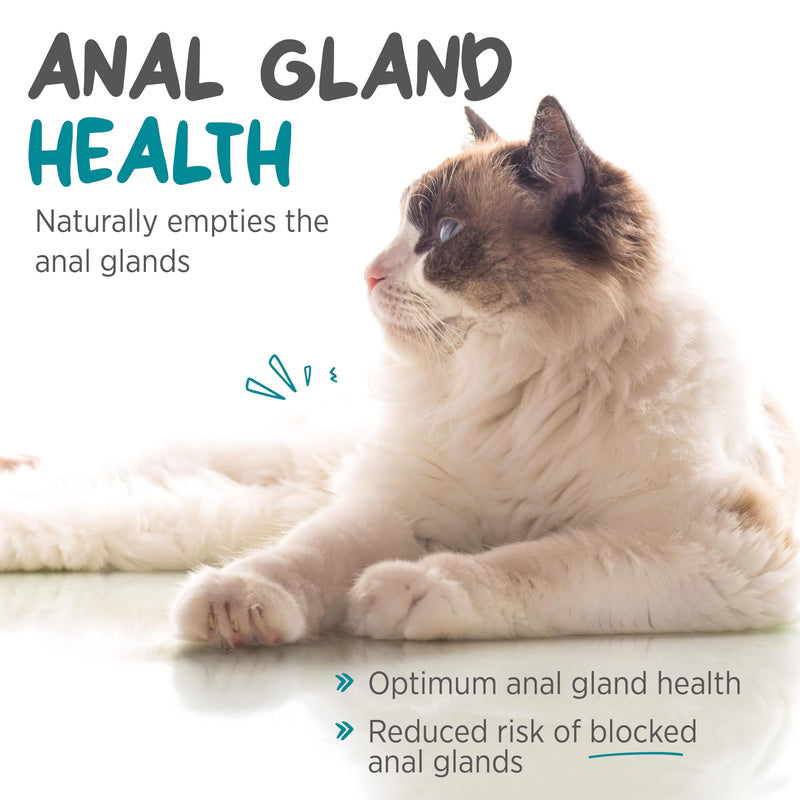 maxxiscoot Anal Gland & Digestive Health Support for Cats - Powder Supplement, 3.2oz - PawsPlanet Australia