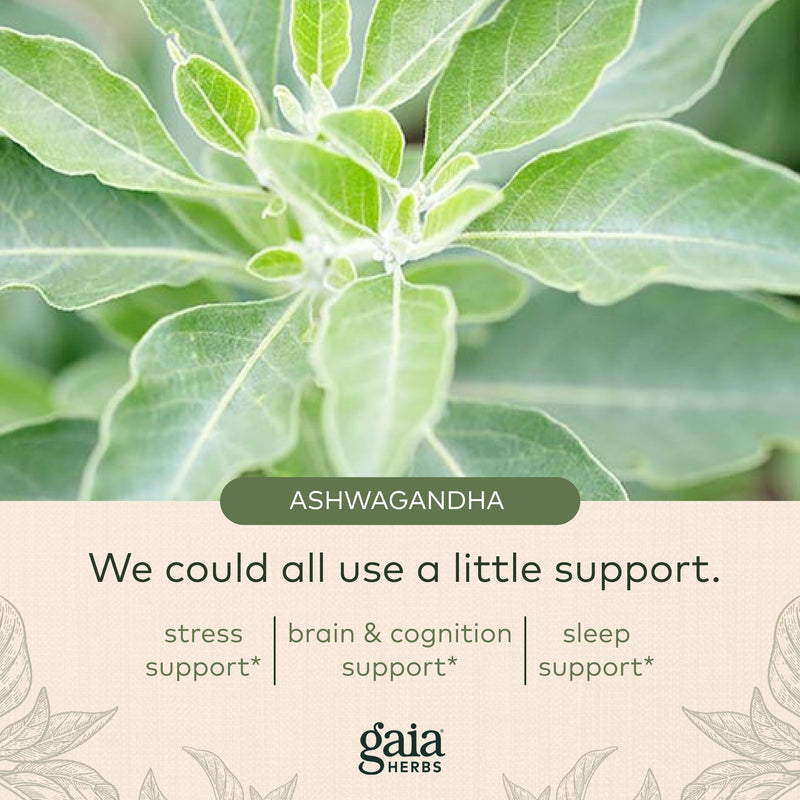 [Australia] - Gaia Herbs Organic Ashwagandha Gummies, Stress Support, Cinnamon, Ginger, Gluten Free, Vegan, 45 Count 45 Count (Pack of 1) 