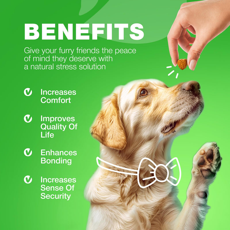 Grass Burn Spot Chews for Dogs - Dog Urine Neutralizer for Lawn - Grass Savers for Dog Urine - Dog Pee Lawn Spot Saver Caused by Dog Urine - Grass Treatment Rocks - Probiotics, Enzymes & Multivitamins Duck 180 count - PawsPlanet Australia