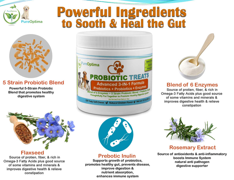 Probiotics Chews for Dogs, Digestive Enzymes + Prebiotics Improves Digestion, Diarrhea, Constipation, Gas, Bad Breath, Leaky Gut, Allergy Immunity Daily Supplement 120 Counts - PawsPlanet Australia