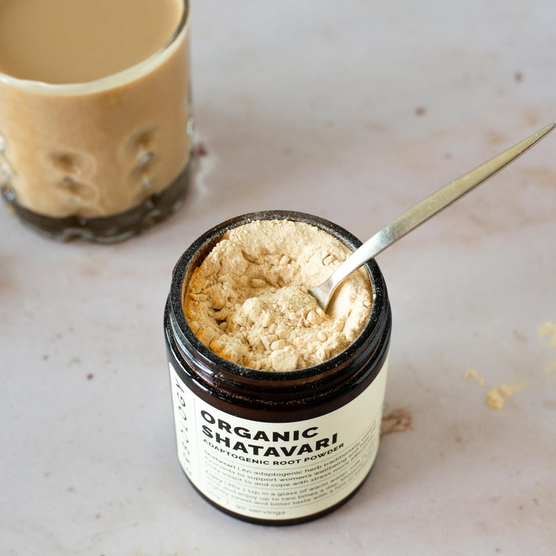 [Australia] - Erbology Organic Shatavari Powder 3.2 oz - 90 Servings - Sustainably Sourced Straight from Farm in India - Small Batch - Vegan - GMO-Free 