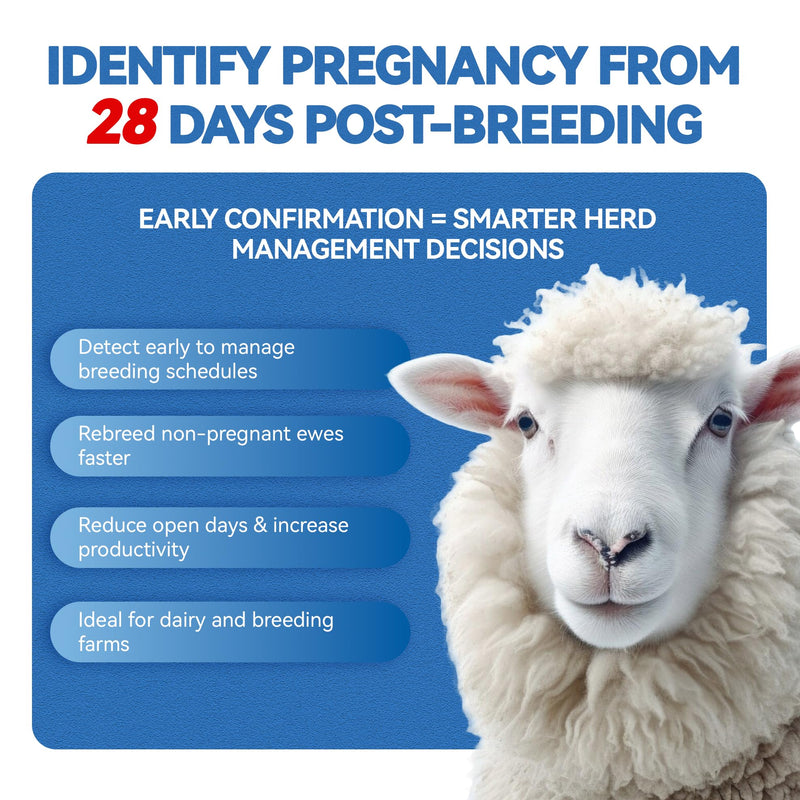 Sheep/Ovine/Goat Early Pregnancy (PAGs) Rapid Test Kit - 5 Tests, Hormones (PAGs), Whole Blood/Serum/Plasma Testing, Detect Pregnancy as Early as 28 Days Post-Breeding