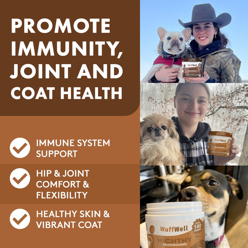Mushroom Supplement for Dogs - 140 Chews - Advanced 7 Mushrooms Blend with Turkey Tail, Lions Mane and Reishi - Includes Green Lipped Mussel, Salmon Oil and Probiotics for Immune Support Peanut Butter - PawsPlanet Australia