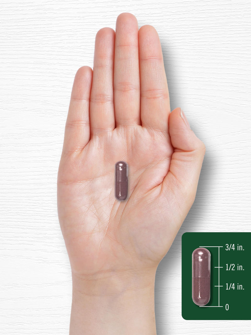 [Australia] - Carlyle Grape Seed Extract 4,000mg | 120 Quick Release Capsules | Standardized Extract Complex with Polyphenols | Non-GMO, Gluten Free Supplement 