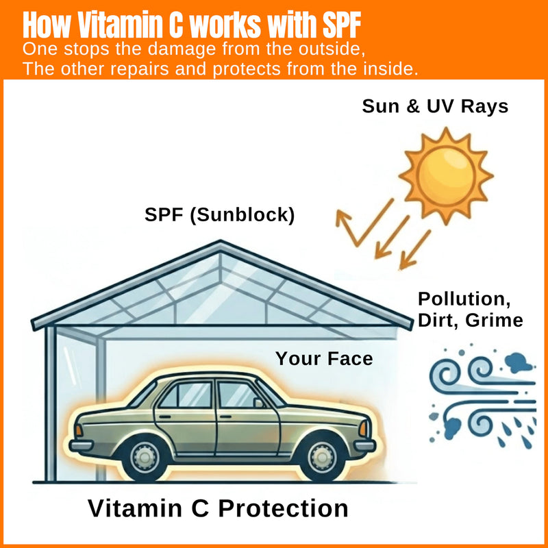 Setú PROTÉGETE Vitamin C Serum for Men - Camu Camu & Hyaluronic Acid | Dermatologist-Developed to Brighten & Even Skin Tone - Antioxidant Protection For All Skin Types