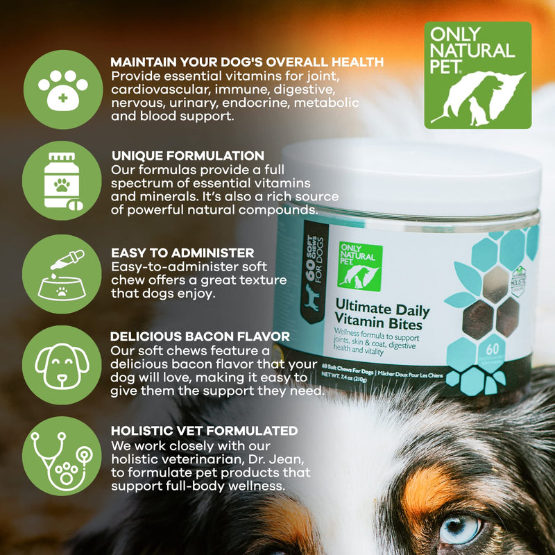 Only Natural Pet Ultimate Daily Vitamins - Complete Multivitamin Supplement for Dogs Balanced Health & Vitality - Senior Small & Large Canine Food Immune Digestive Support -60 Soft Chews (Pack of 1) 60 Count (Pack of 1) - PawsPlanet Australia