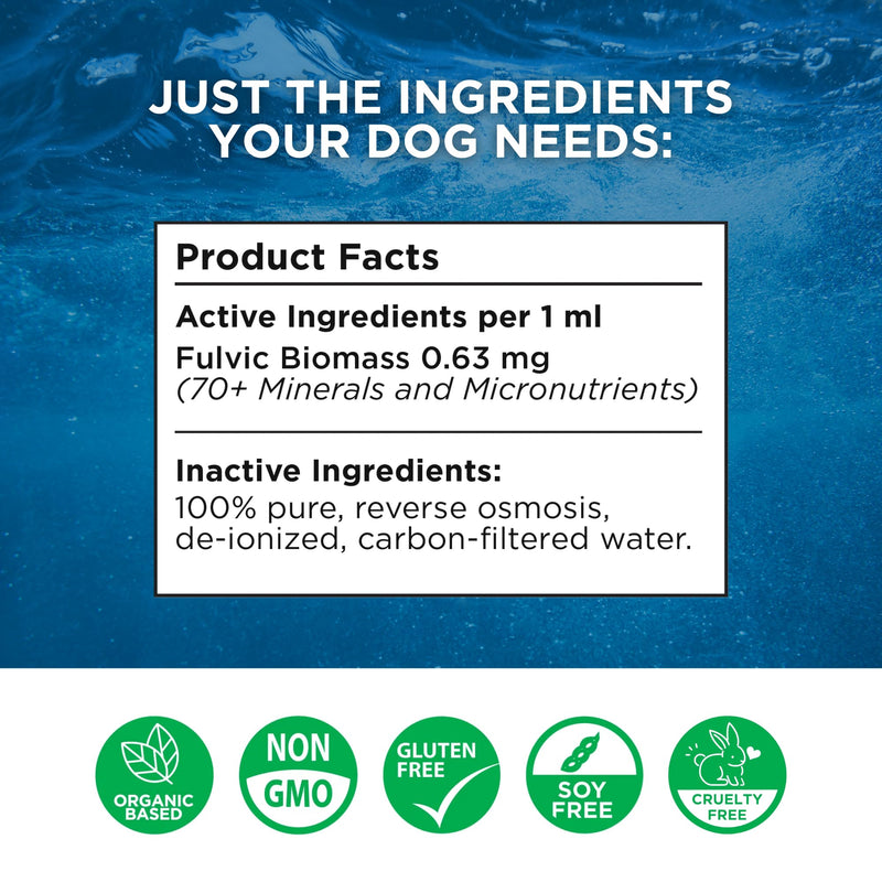 Beam Minerals Complete Canine Electrolytes | Full-Spectrum Electrolytes for Dogs | 12 Fl Oz - PawsPlanet Australia