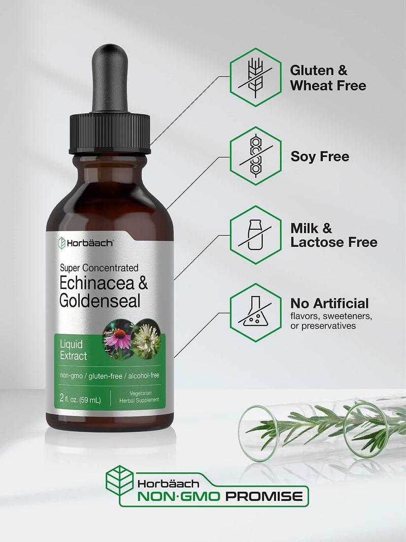 Horbäach Echinacea Goldenseal Liquid Extract | 2 fl oz | Alcohol Free Tincture Drops | Vegetarian, Non-GMO, Gluten Free