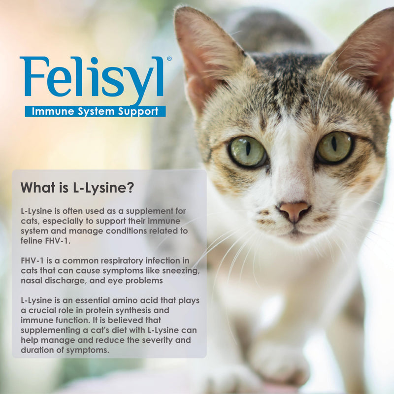 [Australia] - L-Lysine Gel for Cats (5oz) ‚Äì Supports Immune, Respiratory, and Eye Health. Eases Sneezing, Runny Nose, and Watery Eyes. Tasty Salmon Flavor - Made in The USA (2 Pack) 2 Pack 