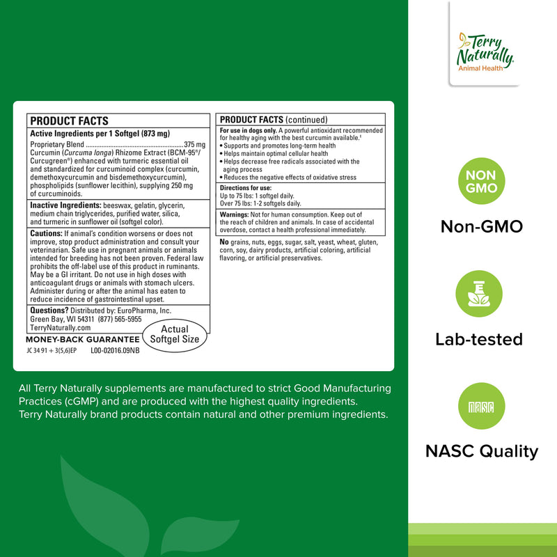[Australia] - Terry Naturally Curacel Curcumin - Health Supplement for Dogs - Pet Curcumin Dog Supplies - Cellular Health Supplement with Antioxidants - 60 Softgels Standard Packaging 