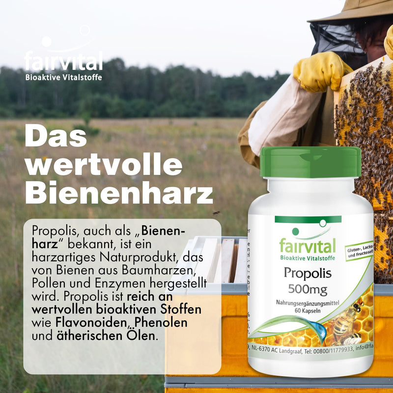 [Australia] - Fairvital | Bee propolis 500mg - 3 x 60 capsules - HIGH DOSE 