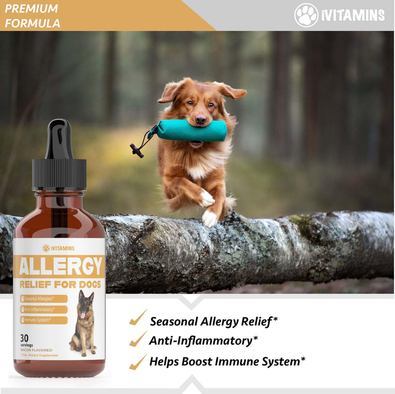 Natural Dog Allergy Relief - Helps to Naturally Support Allergy & Itch Relief for Dogs - Allergy Relief for Dogs Itching - Itch Relief for Dogs - Dog Itch Relief - Dog Allergy Support - 1 fl oz (Dogs) - PawsPlanet Australia