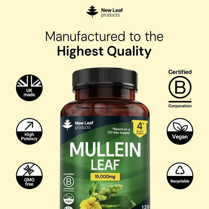 Mullein Leaf Extract for Lungs 15,000mg – High Strength 50:1 Concentrate, 4 Month Supply – 120 Vegan Mullein Leaf Capsules – UK Made by New Leaf