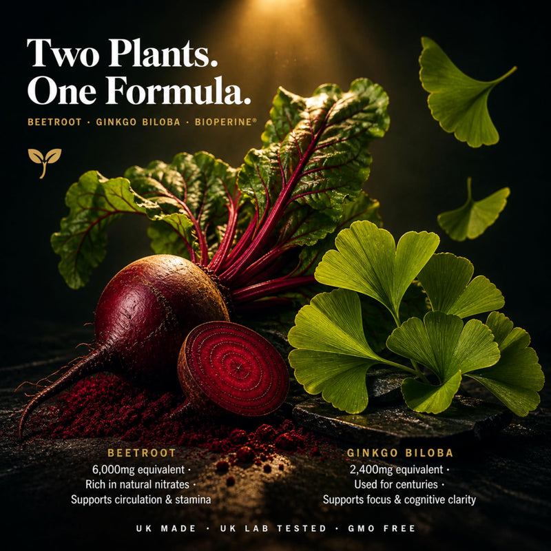 Flow State Formula | Beetroot & Ginkgo Biloba Capsules | Brain & Circulation Support | Dual 20:1 High Strength Extract | Caffeine Free | 90 Vegan Capsules