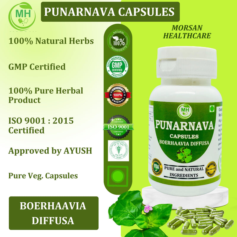 [Australia] - Punarnava Capsules (Boerhaavia Diffusa) 500mg ‚Äì 60 Veg Capsules | Herbal Wellness Supplement for Natural Kidney & Liver Support | Plant-Based Detox & Cleansing Formula | Pack of 1 