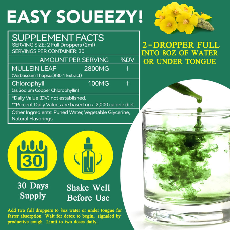 [Australia] - 2 Pack Mullein Drops for Lungs, Mullein Leaf Extract with Chlorophyll,Mullein Leaf Extract for Lung Cleanse and Respiratory Support -2 Bottles 4 Fl Oz (Pack of 1) 