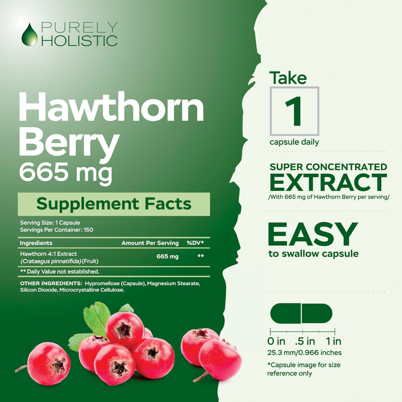[Australia] - Purely Holistic Hawthorn Berry - 150 Vegan Capsules - 5 Month Supply - High Strength 4:1 Extract - Non-GMO Hawthorne Supplement - Supports Cardiovascular & Digestive Health 
