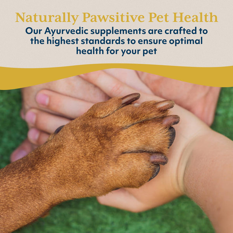 Ayush Pet Skin Plus, Neem Supplement for Healthy Skin and Coat, Supports Gut and Immunity, 90 Capsules - PawsPlanet Australia