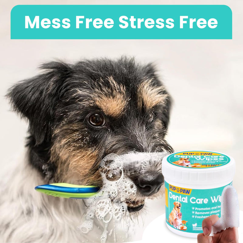 [Australia] - Premium Dog Teeth Cleaning Wipes - All Natural Dog Toothbrush & Tooth Brushing Kit - Pet Dental Finger Wipes for Cats & Dogs - Freshens Breath, Reduces Tartar & Plaque - All in one Finger Wipes (50) 