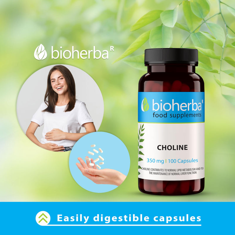 Choline 350 mg – 200 Capsules by BIOHERBA | Nutrient for Lipid Metabolism and Cellular Function 1 count (Pack of 200)