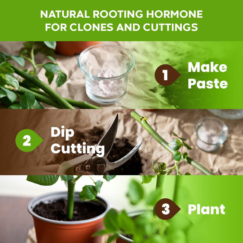 Big Foot Probiotic Root Boost Water Soluble Powder for Established Plants and Transplants - Grow Root Size, Increase Nitrogen, Grow New Plants from Cuttings, Pea Inoculant - 5 Ounces 5 oz