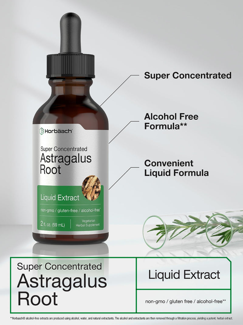 Horbäach Astragalus Root Extract Liquid | 2 fl oz | Alcohol Free Tincture | Super Concentrated | Vegetarian, Non-GMO, Gluten Free