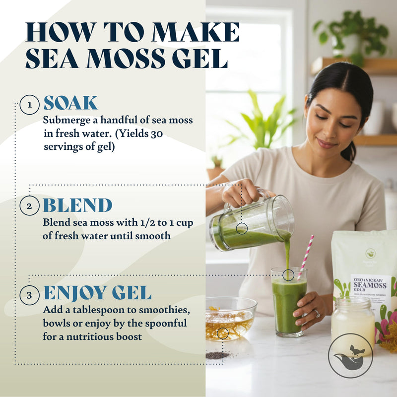 HAPPY FOX Organic Sea Moss Raw Gold Makes 170oz of Seamoss Gel Rich in Vitamins & Minerals, Certified Non-GMO, Wildcrafted, Sundried Superfood - 8oz Bag 8 Ounce (Pack of 1)