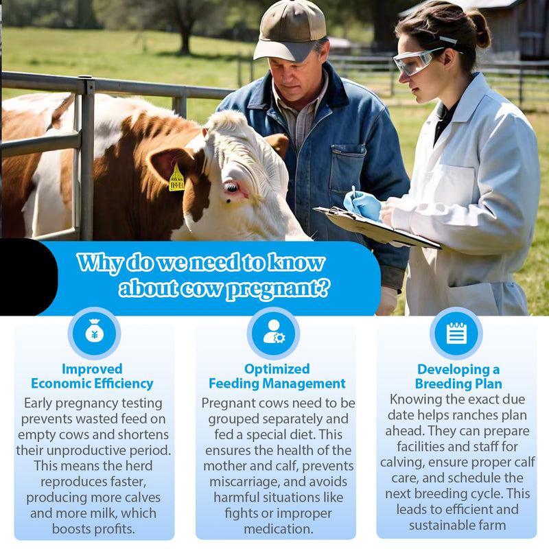 Small Farm Bovine Pregnancy Test Kit (2-Pack) - Urine-Based Early Detection, Rapid 5-10 Min Results, Easy Operation for Cow Herd Breeding Management