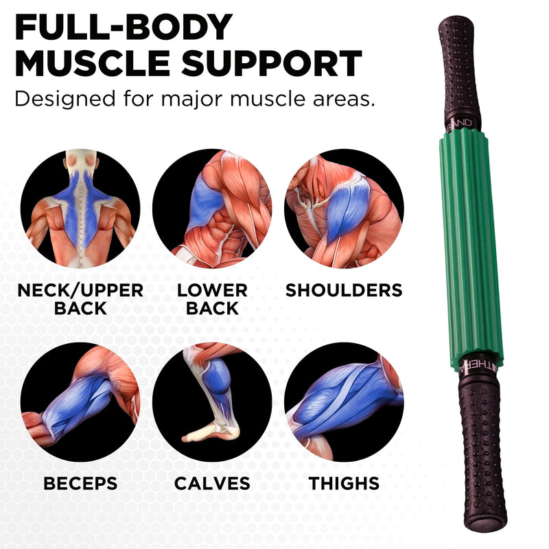 THERABAND Roller Massager, Muscle Massage Tool, Fascia Release, Back, 21" Standard