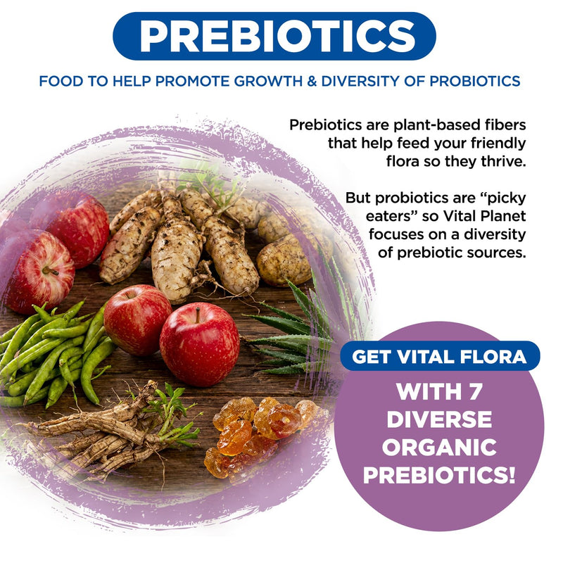 Vital Planet - Vital Flora Probiotics for Women 60 Billion CFU, Diverse Strains, Daily Shelf Stable Probiotic with Organic Prebiotics, for Vaginal Support, Immune and Digestive Health 30 Capsules 30 Count (Pack of 1)