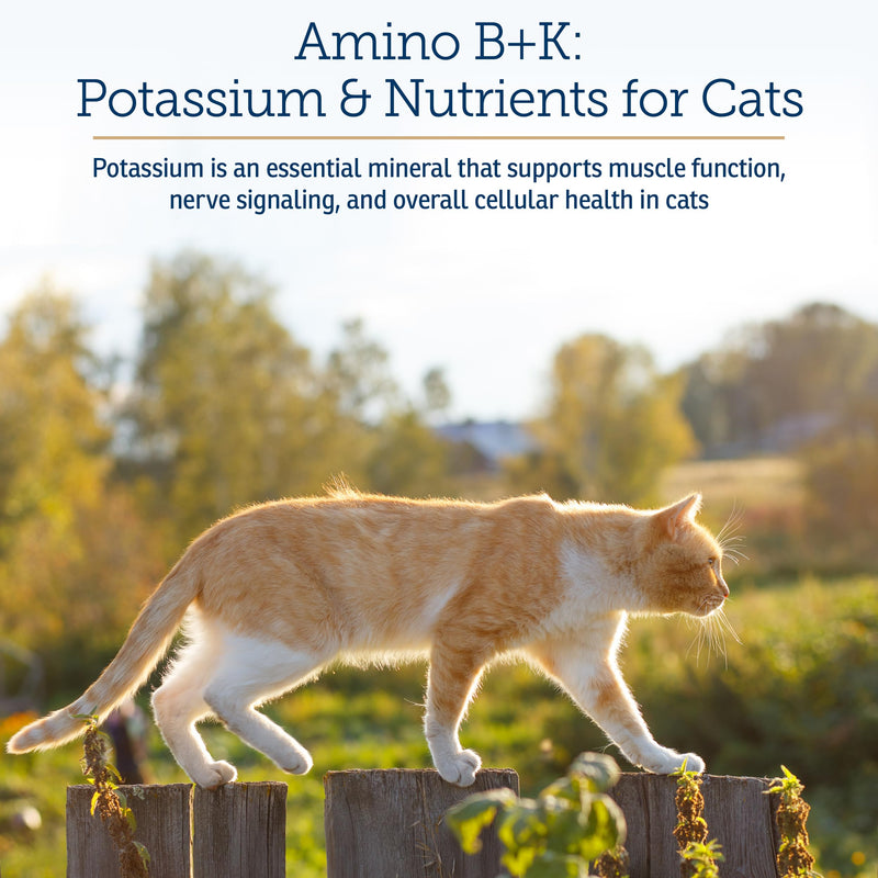 Rx Vitamins Amino B+K - Cat Vitamin B & Potassium Supplement for Cats - 4oz | with Amino Acids Taurine & Lysine - Promotes Kidney Health and Boosts Immunity - Liver & Bacon Flavor New Label