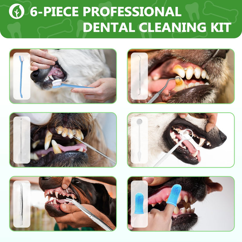 [Australia] - Plaque Remover for Teeth - Electric Toothbrush for Dogs Pet Brush Set,Electric Five Modes + 3 Cleaning Head, Plaque Remover for Teeth Stains for Dogs and Cats (Dark Green, Large) 