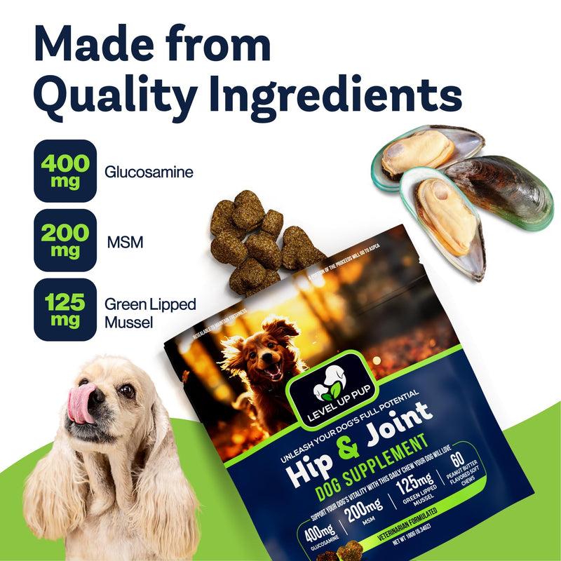 Dog Hip & Joint Supplement | Advanced Inflammation & Pain Relief with Glucosamine, Chondroitin, MSM, Hyaluronic Acid, Green Lipped Mussel, Turmeric, and Vitamin E. 60 Peanut Butter Chews - PawsPlanet Australia