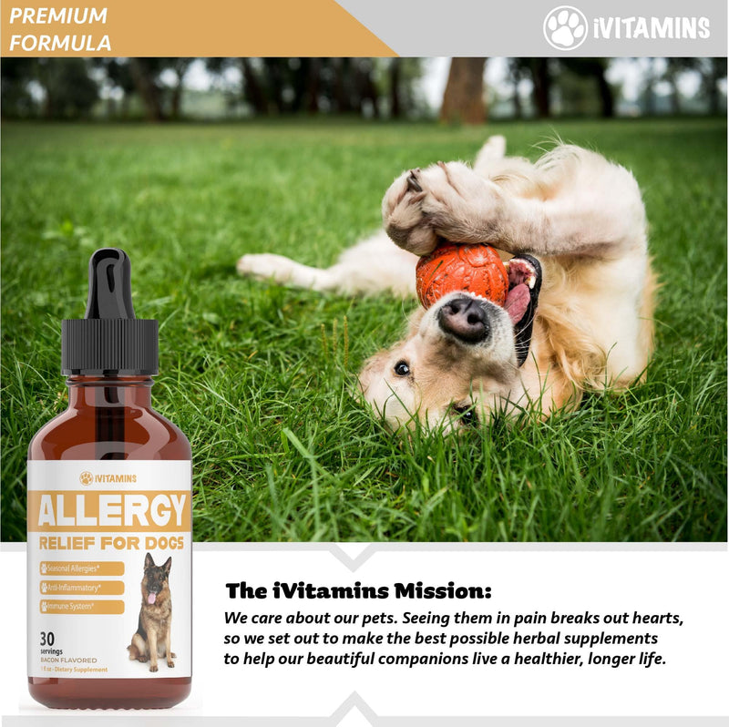 Natural Dog Allergy Relief - Helps to Naturally Support Allergy & Itch Relief for Dogs - Allergy Relief for Dogs Itching - Itch Relief for Dogs - Dog Itch Relief - Dog Allergy Support - 1 fl oz (Dogs) - PawsPlanet Australia
