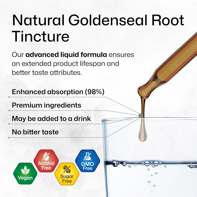 [Australia] - Goldenseal Root Supplement Drops - Organic Goldenseal Tincture - Vegan, Alcohol & Sugar Free Liquid Extract - 2 Fl.Oz. 2 Fl Oz (Pack of 1) 
