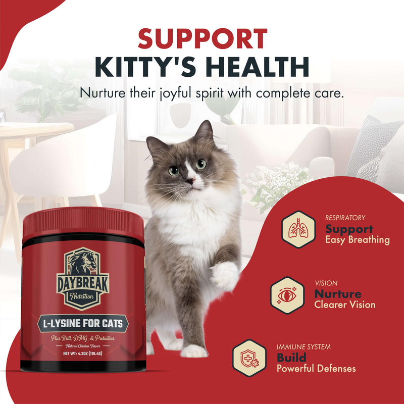 [Australia] - L-Lysine for Cats and Kittens - 900 mg L Lysine Powder for Cats for Immunity & Respiratory Support - Cat Supplement with L-Lysine, Prebiotics, Krill, & DMG for Immune System, Eye Health & Sneezing 