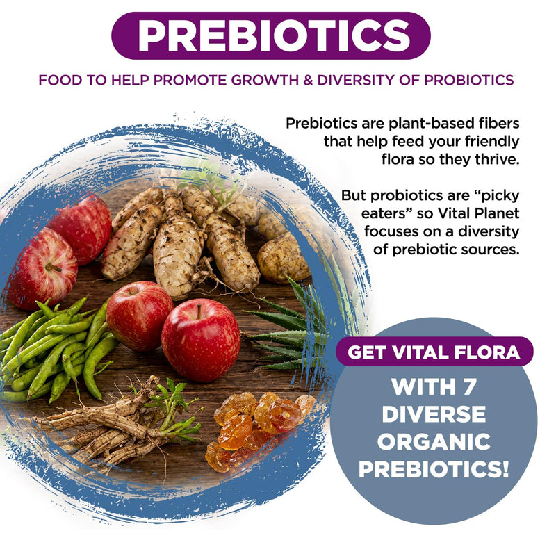 Vital Planet - Vital Flora Probiotics for Women Over 55 Daily Shelf Stable Probiotic 60 Billion CFU, 60 Diverse Strains, 7 Organic Prebiotics, Immune Support and Digestive Health 30 Capsules