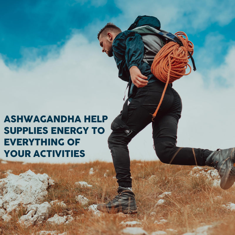 [Australia] - 240 Capsules - 8 Month Supply - 7in1 Ashwagandha 8050mg - Combined with Fenugreek, Maca, Turmeric, Rhodiola, Ginger, and Black Pepper - Mood, Strength, Spirit and Energy Support Supplement 