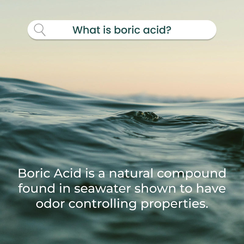 [Australia] - pH-D Feminine Health Support - Boric Acid Starter Bundle - pH-D Boric Acid Vaginal Suppositories 24 Count and 5 Vaginal Suppository Applicators 24ct W/ 5 Applicators 