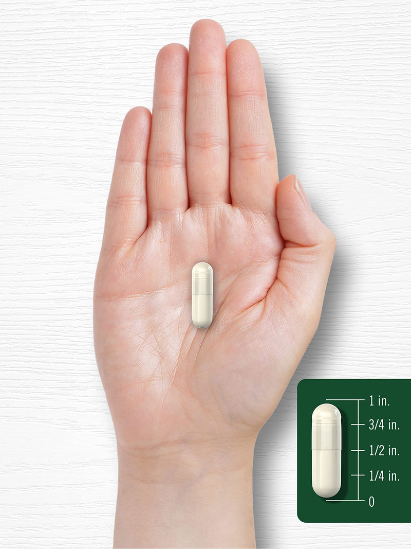 [Australia] - Carlyle Royal Jelly Capsule | 2500mg | 120 count | Non-GMO and Gluten Free Formula | Traditional Supplement 