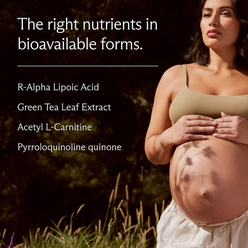 [Australia] - Needed. Egg Quality Support - Optimally Formulated Antioxidants Supplement for Egg Quality - Fertility Support - Fertility Supplement for Women - 60 Capsules - 30 Day Supply 