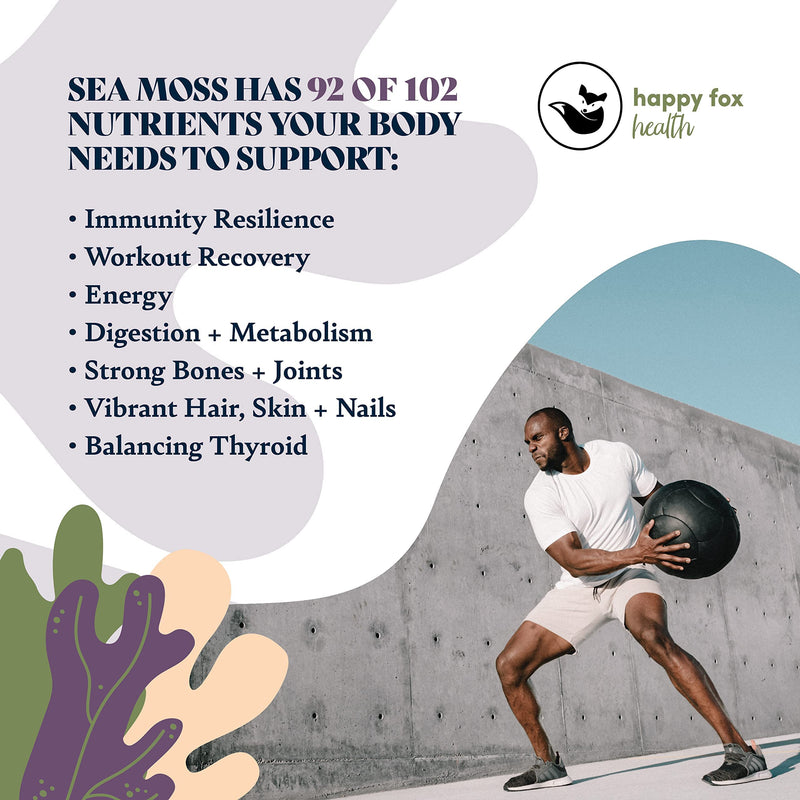 Essentials & Purple Sea Moss Bundle - Organic Sea Moss Raw Purple & Irish Sea Moss, Bladderwrack and Burdock Root Capsules