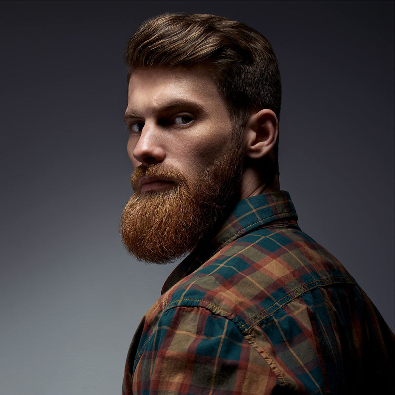 [Australia] - BEARDED BEN beard brush with wild boar bristles - beard care set for men including wooden beard brush and beard comb - beard brush kit for daily care teak brown 