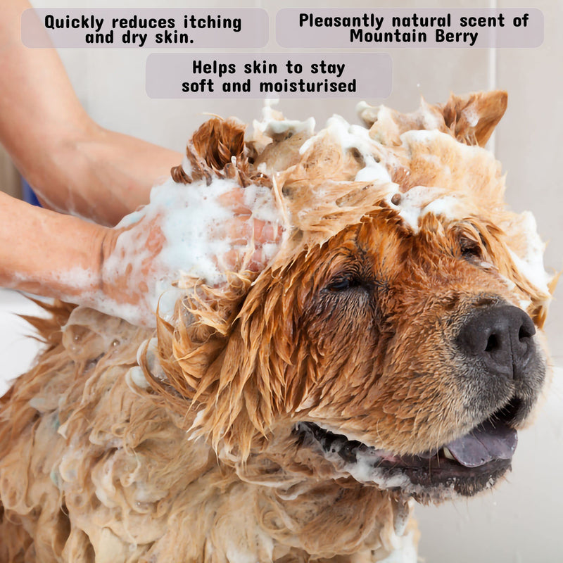 Pet Silk Shampoo - Long Lasting Fresh Scent - Clean and Condition Pet's Fur - Gentle Odor Remover for Puppies, Dogs and Cats (Mountain Berry - 16 oz) - PawsPlanet Australia