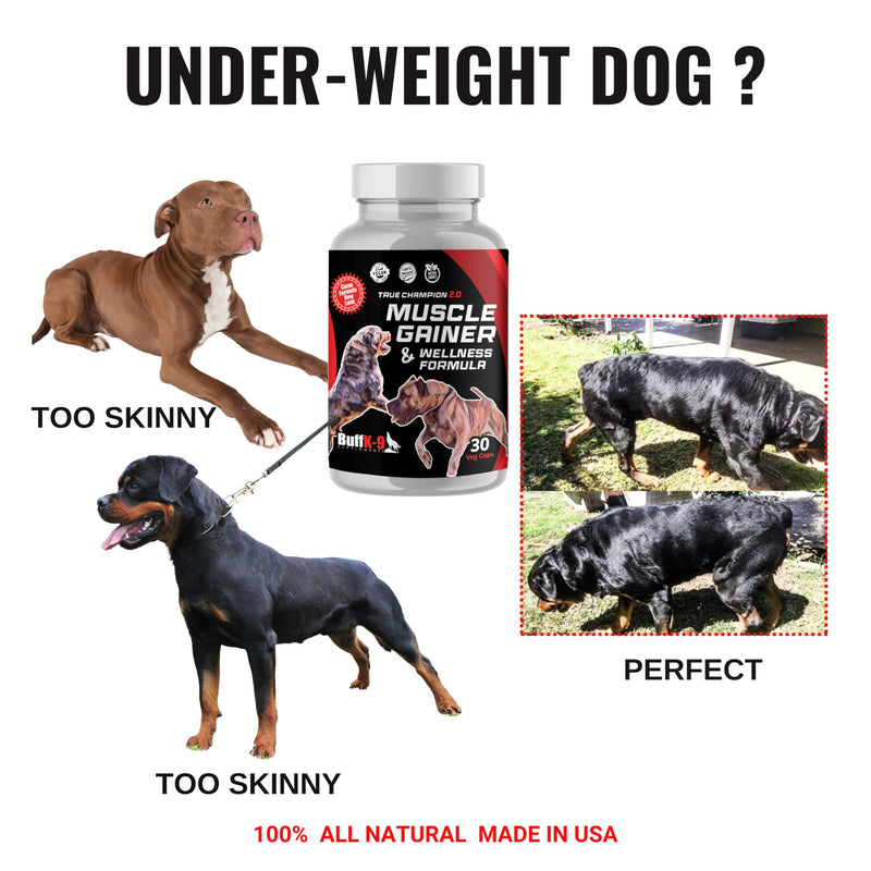 BuffK-9's 3-in-1 Dog Muscle Builder and Weight Gainer for Dogs Capsules for Puppies & Adult Dogs - All Breeds -Top Choice Canine Dog Supplement for Muscle Gains - 30 Caps - PawsPlanet Australia