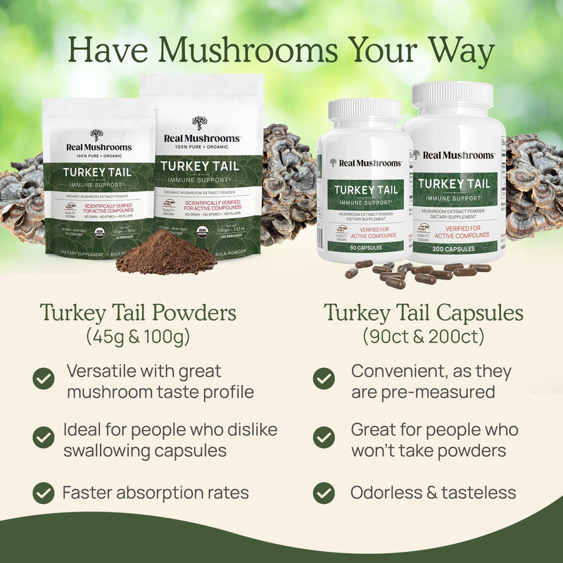 [Australia] - Real Mushrooms Turkey Tail Capsules ‚Äì Organic Mushroom Extract for Wellness & Daily Rhythm ‚Äì Vegan, Non-GMO, No Fillers Turkey Tail Extract ‚Äì 90 Count Mushroom Supplement Capsule 90 Count (Pack of 1) 