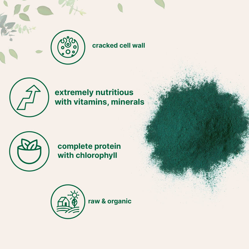 [Australia] - Micro Ingredients Organic Chlorella Powder, 10 Ounce, Broken Cell Wall, Rich in Vegan Proteins & Vitamins, Raw, Bulk Premium Chlorella Supplement, Vegan Friendly, Non-Irradiation 