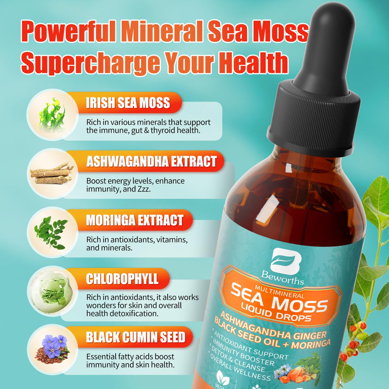 [Australia] - 2PACK Sea Moss Drops - Irish Sea Moss Chlorophyll Liquid with Black Seed Oil, Ashwagandha, Moringa, Turmeric, Elderberry, Mullein, Seamoss Gel Supplement for Lung Cleaner, Detox & Gut, Immune Support 1 Fl Oz (Pack of 2) 