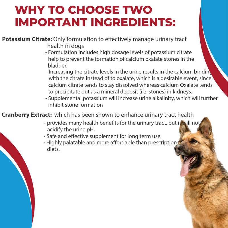 Potassium Citrate Plus Cranberry Supplement for Dogs (100 Tablets) - Urinary Tract Support-Helps Deter Formation of Calcium Oxalate Stones - Deters Bladder & Kidney Stones (Made in U.S.A) - PawsPlanet Australia